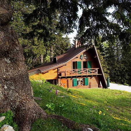 Chalet Alpinka Cerklje na Gorenjskem Luaran gambar